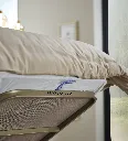 Untitled Catalog1137.webp